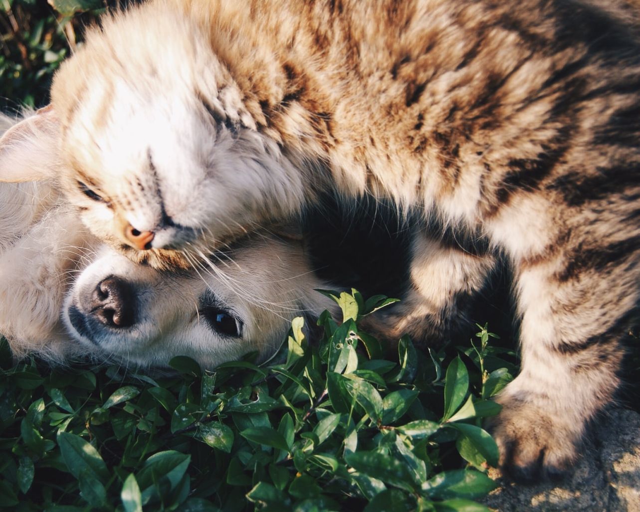 At nisi sint facilis qui.