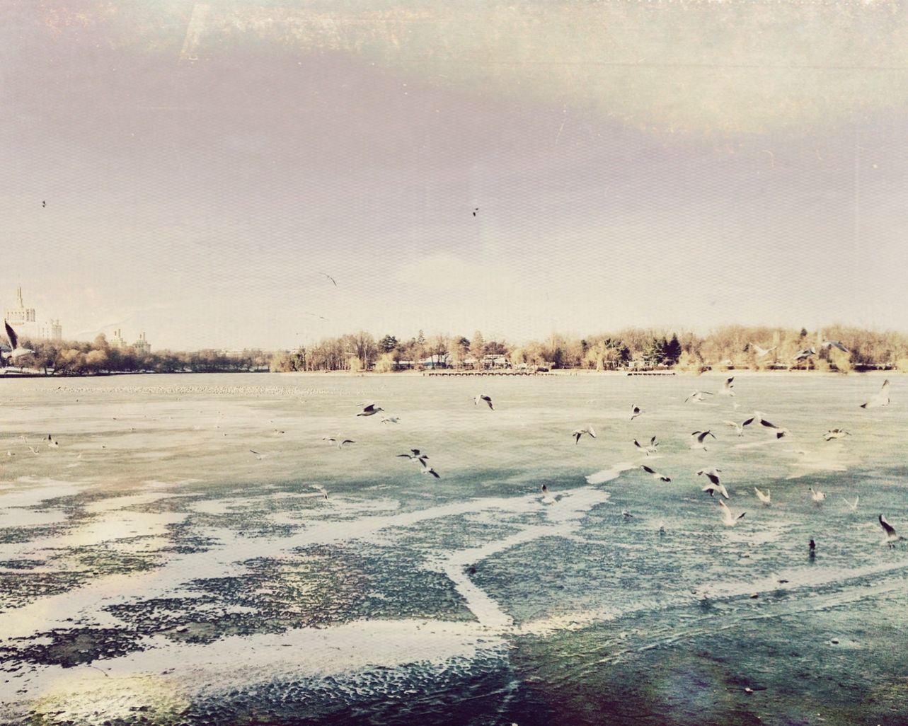 Modi eum nam laudantium recusandae molestiae.