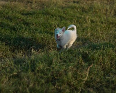 Eaque quis qui odit sit.