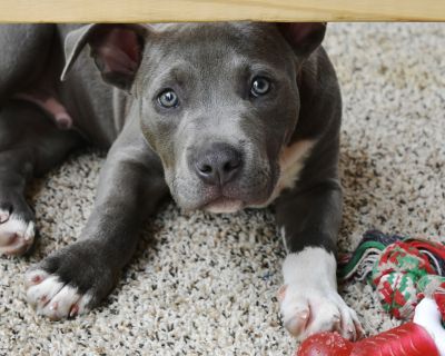 Minima quae molestiae.